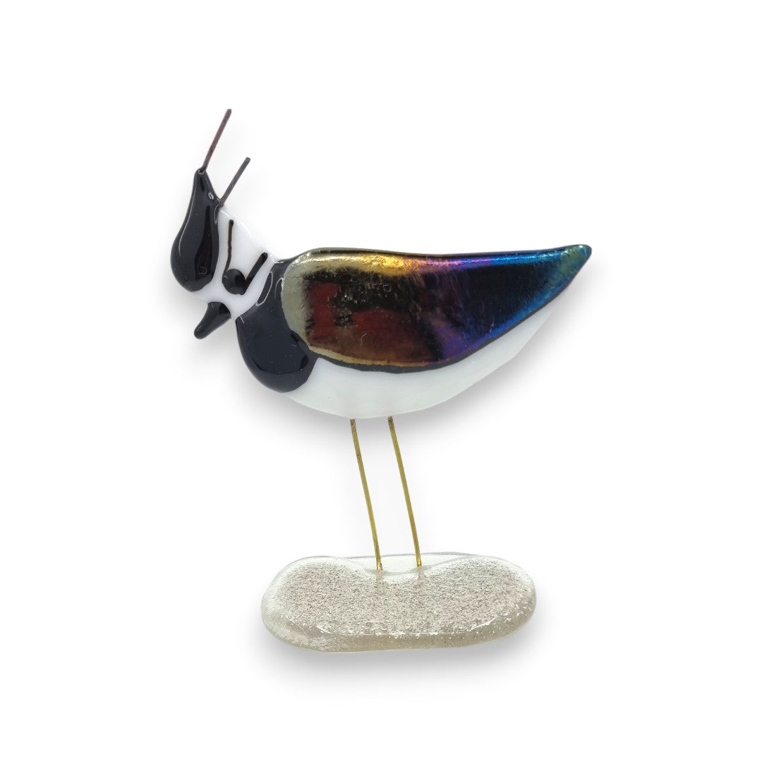 Lapwing - Fused Glass